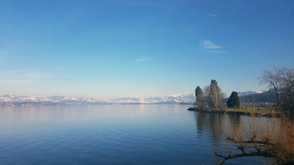 zureichsee